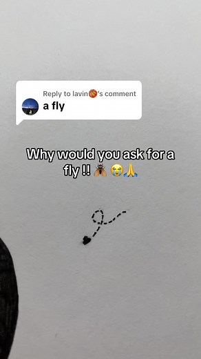 Creative Stickman Drawing Ideas with Flies