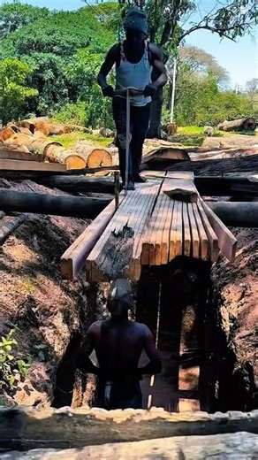 Manual Wood Cutting Work Tool Using Traditional Pit Saw #worktool