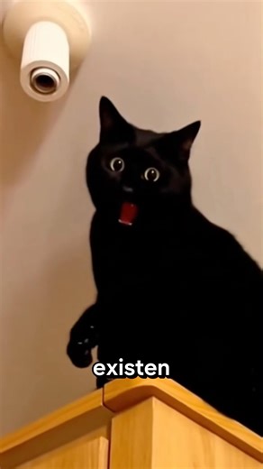 Little-Known Animal Facts