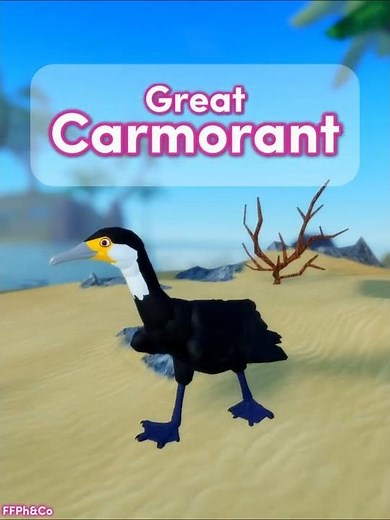 Great Cormorant 🐦🐣 in Feather Family