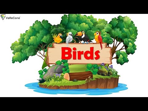 Birds - Beak , Claws and nest l Class 3 l CBSE l Science and EVS