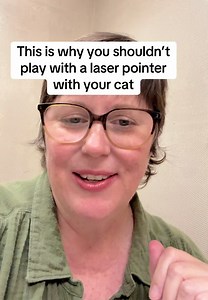 Why You Shouldn't Play With Lasers With Your Cat