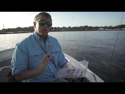How to catch Sydney Harbour bream