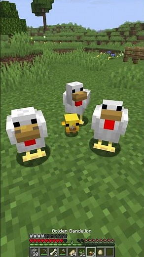 golden dandelion item added to minecraft in new 26.1 update tutorial