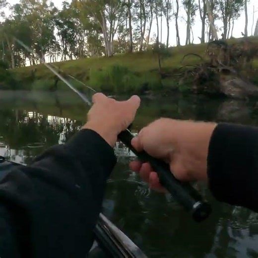 Murray cod caught on the surface. #fishingnsw #murraycod