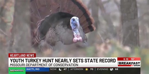 MDC: 2025 Spring youth turkey season nearly sets state record