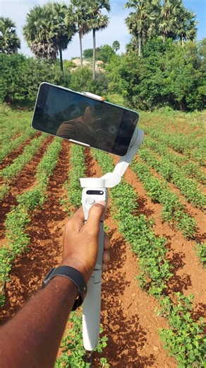 6.1K views · 51 reactions | dji mobile gimbal #stabilizer | Techfocus360 | Facebook