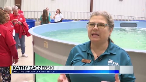 Karen Sea Turtle Rescue Center upgrades improve turtle care