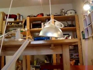 Audri's Rube Goldberg Monster Trap