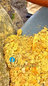 238K views · 1.7K reactions | wowdiscovery of quartz veins containing gold grains and dust behind volcanic activity | Yundra Gold Hunter | Facebook