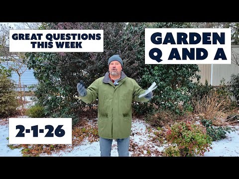 Great Gardening Questions This Week - Protecting Plants, Fixing Soil Damaged by Construction