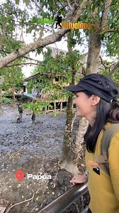 Medina Kamil kembali menentang batas di Papua Part 2 | News Trans7