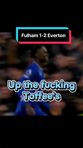Fulham vs Everton Match Highlights