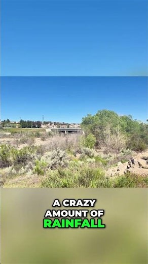 Exploring Dry Riverbeds After Drought #shorts