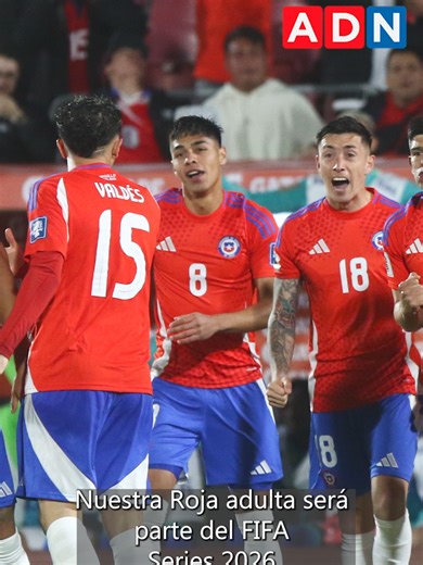 El periodista y relator de ADN, el Grillo del Gol, nos cuenta de los partidos y agenda que tendrá La Roja durante 2026... ¿con Córdova en la banca? #seleccionchilena #futbolchileno #deportes #noticias #chile