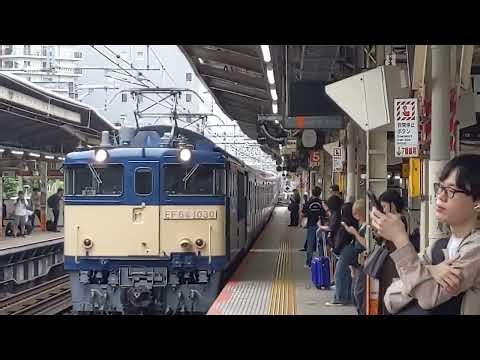 【E217系NN廃車回送&豪快なジョイント音！】JR東日本 EF64 1030号機+E217系都クラY-41編成 配9744レ 長野行 横浜駅通過！[2024.09.25(水)]