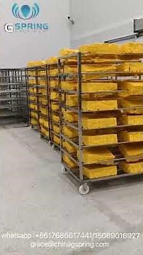 1500kg/h Panko Bread Crumbs Production Line @ Gspring Machinery #machine