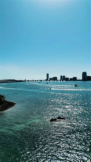 Yacht Rentals Miami📍🌴🛥️ Includes: •Captain •Float Mat •Ice/ water •Jetski •Bathroom/ Bedroom Add-ons include Jetski, Decor, and Catering Contact us for more information 📞: 786-622-6731 📧: Toplinerentals.office@gmail.com #BoatRentals #Thingstodoinmiami #MiamiYachts #YachtRentals #TopFiveInMiami