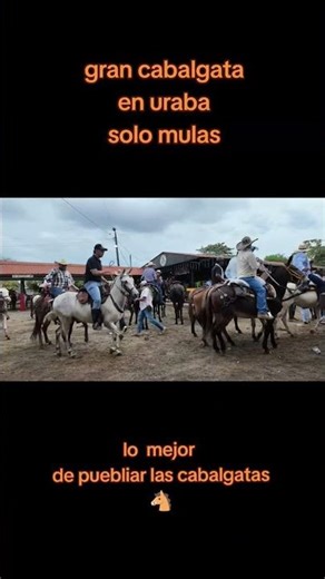 cultura y tradiciones en nuestros pueblos colombianos 🇨🇴🐴💪
