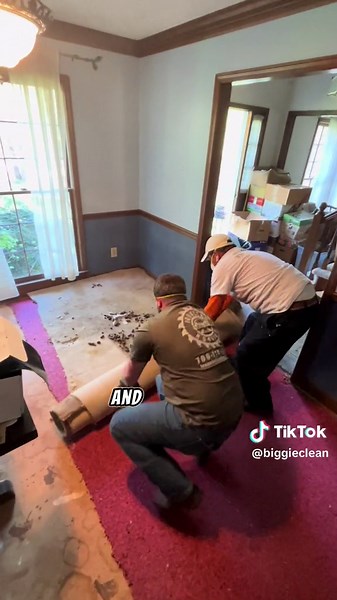 Free Hoarder Home Cleaning Experience and Challenges