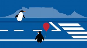 32K views · 282 reactions | Kids will follow our example when we cross the road recklessly. Let’s show them the right way by always using designated crossings. #BeTheChange #SafelyHome | Safely Home by Western Cape Government | Facebook