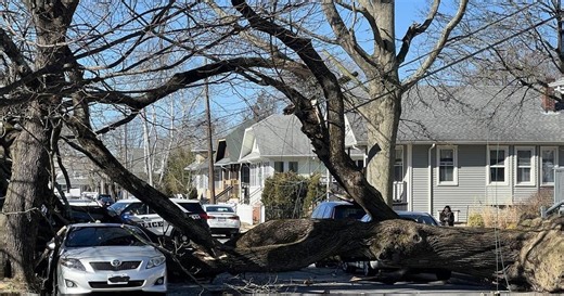 High wind gusts cause damage to cars, trees, and more across Massachusetts