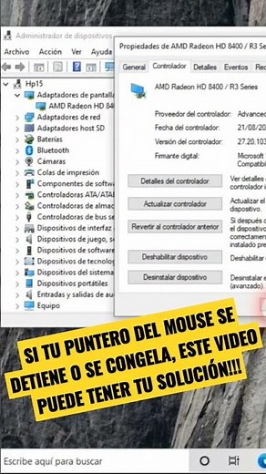 Solution to Frozen Mouse Pointer #windows #mouse #solution
