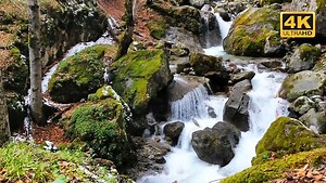 Snowfall Relaxing music (4K)