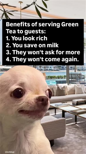 Hilarious Evil Dog Memes That Will Make You Laugh