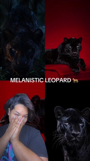 DOUNIASMAKEUP sur TikTok