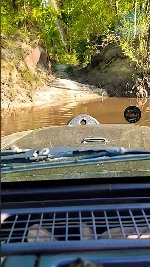 TJ gets stuck crossing river! 🌊