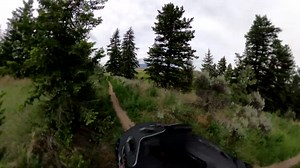 Things Got Crazy After Bicyclist Saw Bear Following Him
