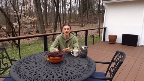 Container garden ideas & inspiration