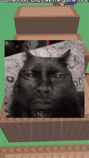 Roblox Rant: A Relatable Take on Gaming Humor