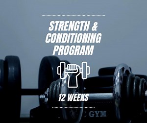 12-week Strength & Conditioning Program and Excel Lift Tracker • 4 Sessions/week Hybrid Strength   Metcon Plan • Editable Digital Download - Etsy