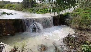 Beautiful Gozo after the abundant rainfall of the past few days! 🌲🍀🌧⛈💦☘️🍃🌳 Is this the Gozo you love 🥰 🎥 Joseph Zammit | Malta Weather