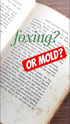 Is my book DANGEROUS? (Foxing vs Mold)