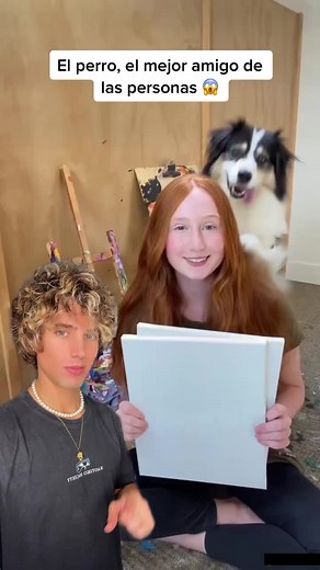 Amistad real entre perro y humano #perro #greenscreenvideo