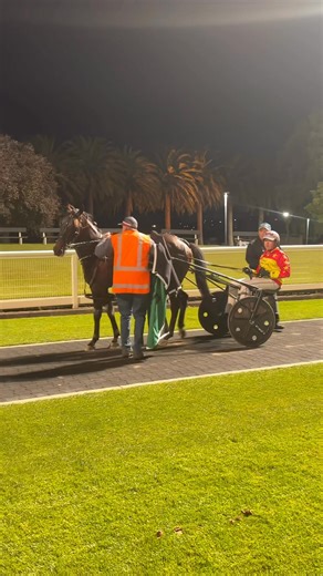 6.3K views · 60 reactions | The Tasmanian-bred Hungry Hippo claims the $75,000 Nutrien Ag Solutions Globe Derby! Trained by Emma Stewart and driven to perfection by Alex Ashwood. Congratulations to all the connections!  | Tasracing | Facebook