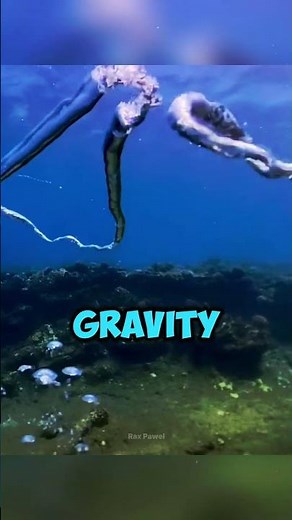 What Happens When Water Vortices Meet 🌊 Underwater Collision 💧 #shortfeeds #shorts