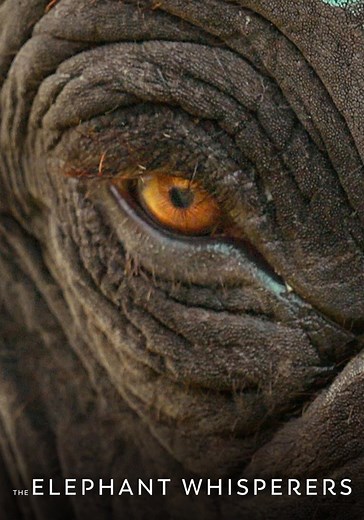 The Elephant Whisperers streaming: watch online