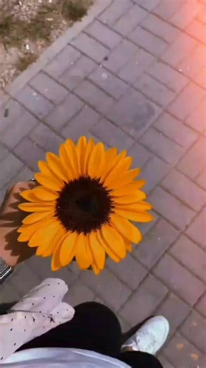 #Ana #gabriel #mar y #arena🌊🌴