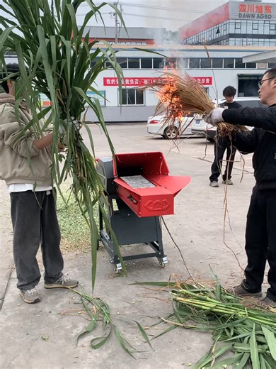 Durable Chaff Cutter for Heavy-Duty Farming Needs