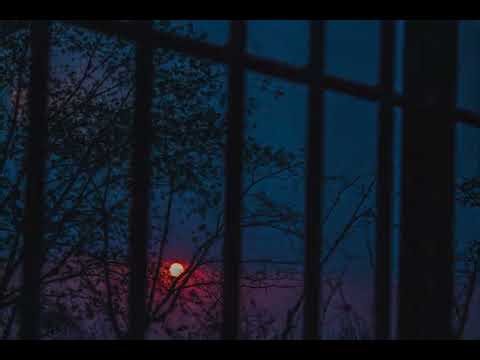 My morning routine that changed my life in 30 days ✨