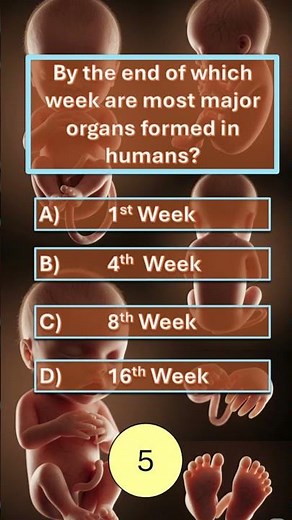 By the End of Which Week Are Most Organs Formed in Humans? 🧬 | Human Embryology Quiz