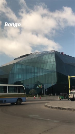 Bongo Tanzania #bongo #tanzania #tanzaniatiktok #diamond #holiday