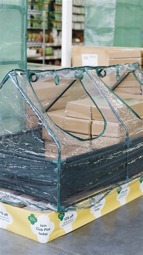 While it’s still chilly outside, the cosy conditions of a growhouse make it the perfect place to kick-start your planting journey 🌱 Start sowing seeds of your favourite plants, fruit, or vegetables under cover, and nurture them as they grow strong and ready for spring. If you’re looking for growhouse or propagation tips, pop into your local Dobbies and chat with a member of our Green Team - they’ll be happy to help with your growing projects. | Dobbies