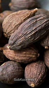 583K views · 9.3K reactions | Badi Elaichi Ke Fayde, Health Benefits of Big Cardamom #subkuchweb #health #lobia #redbeans #shorts #healthbenefits #healthyfood #healthtips #healthcare #healthylife #tips #fbreels2024 #fbyシvideo #fbreelsfypシ゚viral #fbreels #fbreelsvideo #fbpostviral #fbshorts #fbpost2024 #fb | SubKuch Web | Facebook