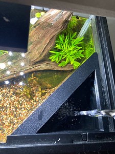 Triangle Water Change Diffuser: Low Turbulence Aquarium Top Off - Etsy