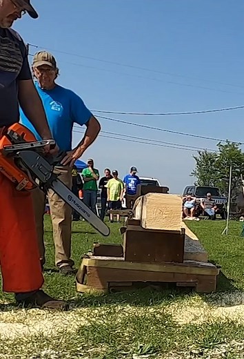 Best Chainsaw for Tree Cutting